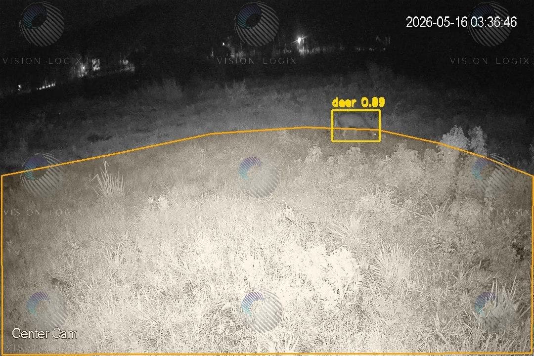Infrared night camera image of a deer detected at 0.89 confidence at the edge of the amber region of interest.